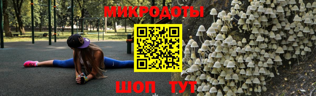 Псилоцибиновые грибы GOLDEN TEACHER  Вход с VPN  Кореновск  Псилоцибиновые грибы GOLDEN TEACHER 