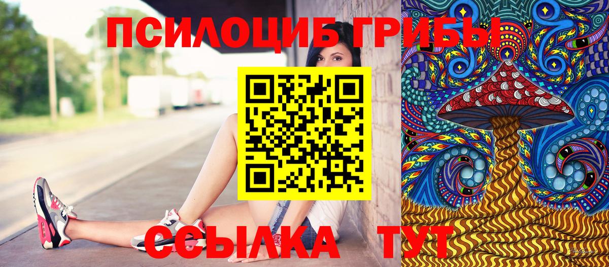 Галлюциногенные грибы Psilocybine cubensis Кореновск